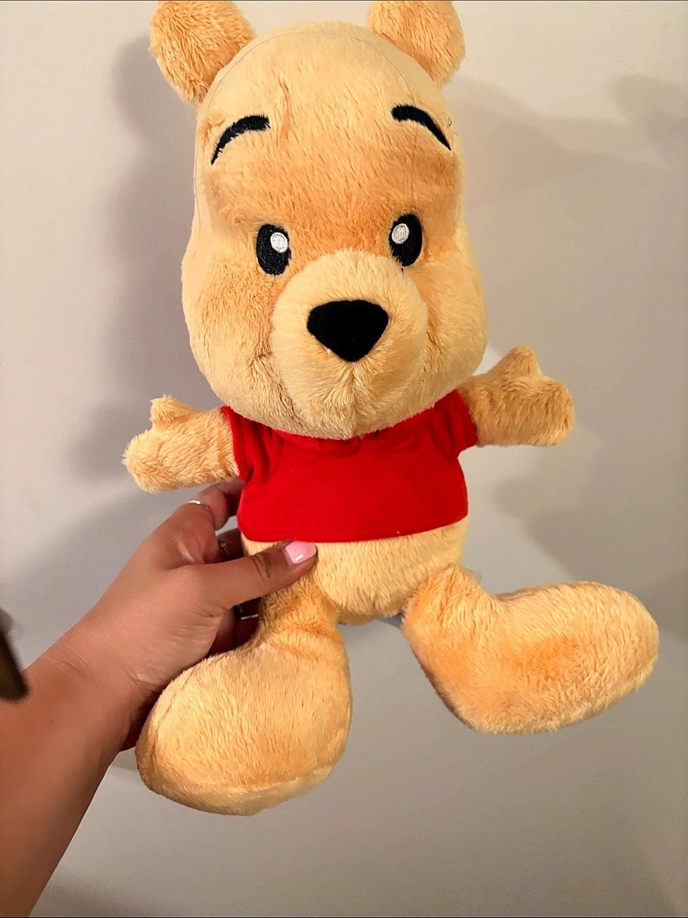 Disney Winnie the Pooh Plush Toy Red Shirt